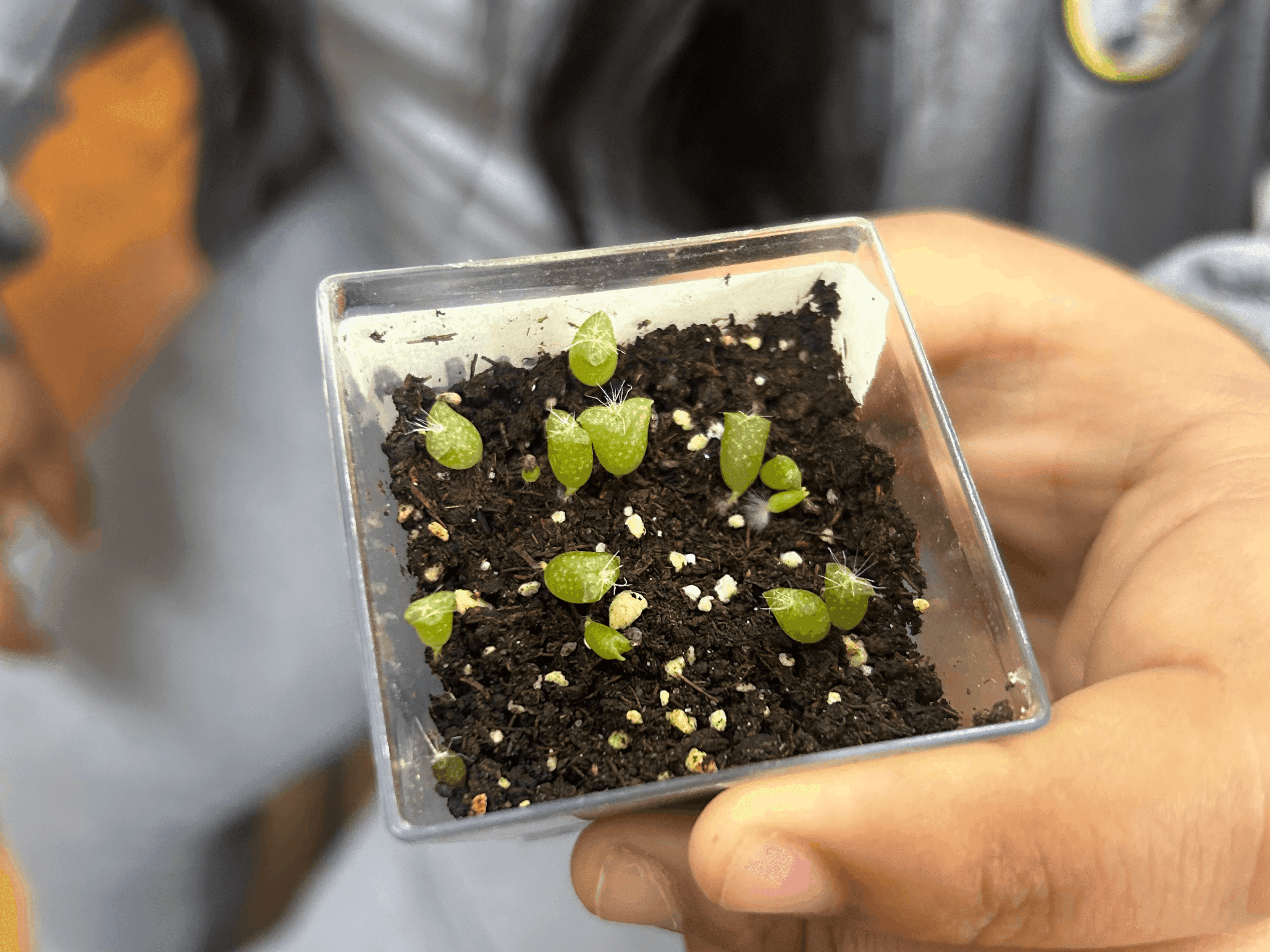 Experiencias para un
aprendizaje significativo