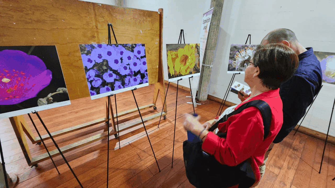 Exposición fotográfica
