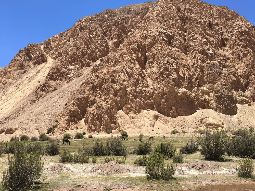Paisaje del altiplano de Tarapacá